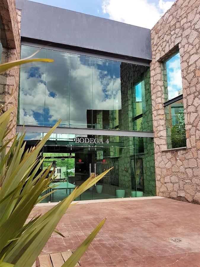 Hotel Camino De Piedra Guanajuato Luaran gambar